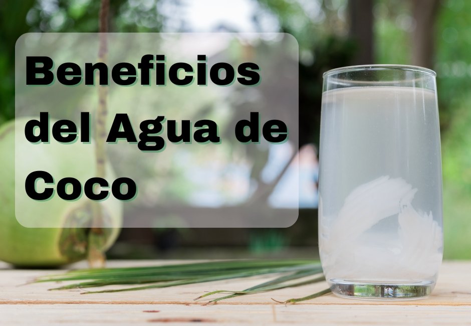 beneficios del agua de coco